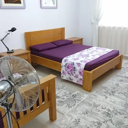Kulla E Vekut Apartment *